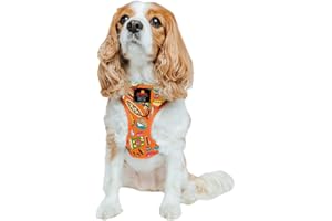 Sassy Woof Dog Adjustable Harness - Garfield™ - S, Breathable Mesh, No Pull Design with Two D-Rings, Patented Design, Perfect for Small Dogs and Puppies - Officially Licensed