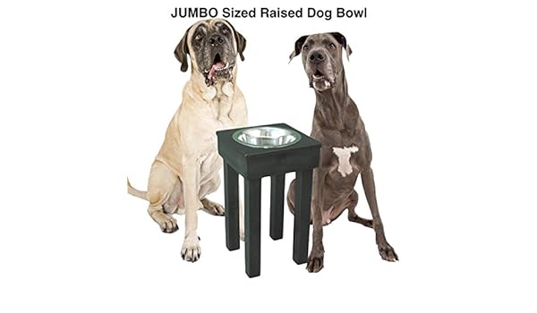 Amazon Com Raised Dog Bowl 24 Tall Jumbo Single Bowl Elevated