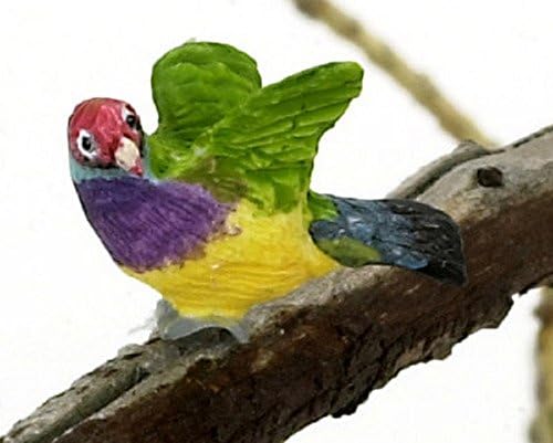 Falcon Miniatures Dollhouse Miniature Gouldian Finch