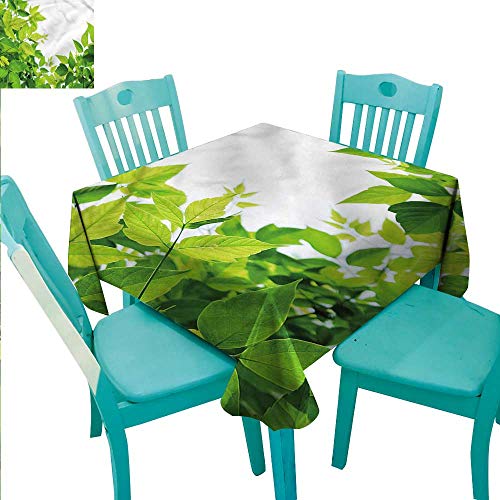 Elegant Waterproof Spillproof Polyester Fabric Table Cover Plant Great for Dessert Tables Birth of Nature 36"x36"