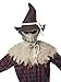 California Costumes Men's Sadistic Scarecrow Costume, Natural, Large/Extra Large
