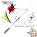 MOMODA Retractable Cat Wand/Fun Worms Toy for Cats, Assorted Feather/Worms Teaser,Exerciser Interactive Cat Wand/Refills Feathers for Cat or Kitten