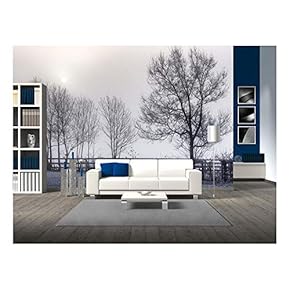 Eiffel Tower, Paris, France. Black and White Image/ - Removable Wall Mural | Self-Adhesive Large Wallpaper - 66x96 inches