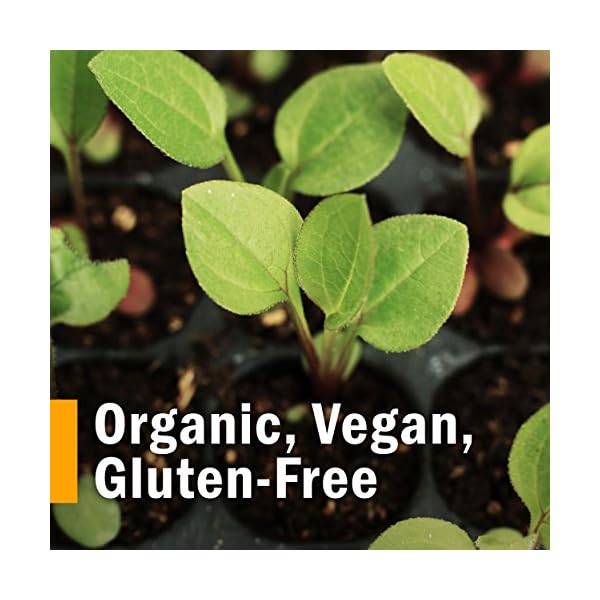 Herb Pharm Adrenal Support Liquid Herbal Formula with Eleuthero and