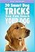Dog Training: 20 Smart Dog Tricks You Can Teach Your Dog by Shannon O'Bourne