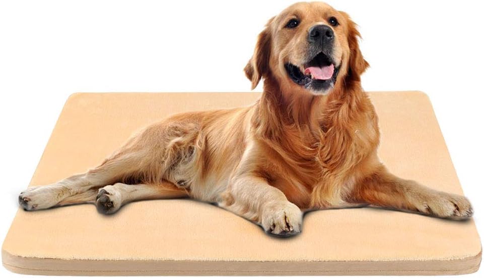 anti slip pads for dogs