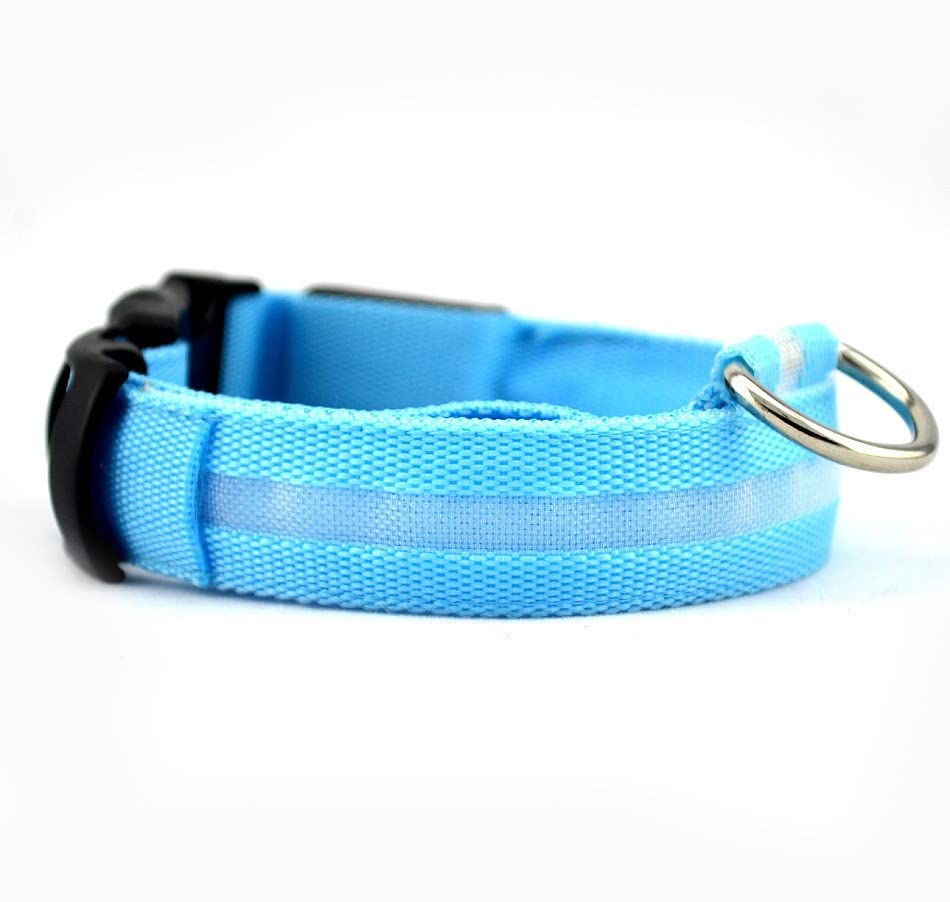 Led dog collar USB Rechargeable & Waterproof with 3 Flashing Modes, super bright (XL, TURQUOISE)