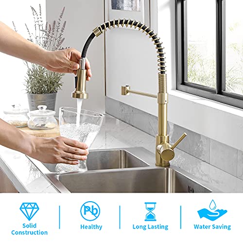 Brushed Gold Pull Down Kitchen Sink Faucet HVNVN Spring Brushed Gold