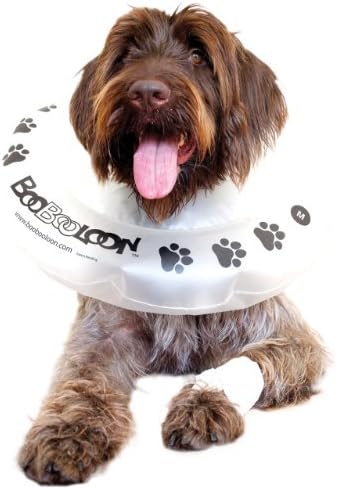 BooBooLoon Inflatable Pet Recovery Collar 1 Medium Size by BooBooLoon