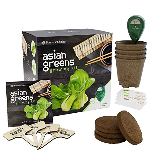Planters' Choice Asian Greens Growing Kit Everything Included to