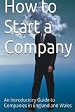 How to Start a Company: An Introductory Guide to Companies in England and Wales by Alex Millbank (2015-06-25)