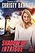 Shadow of Intrigue (Lantern Beach Romantic Suspense Book 2) by Christy Barritt