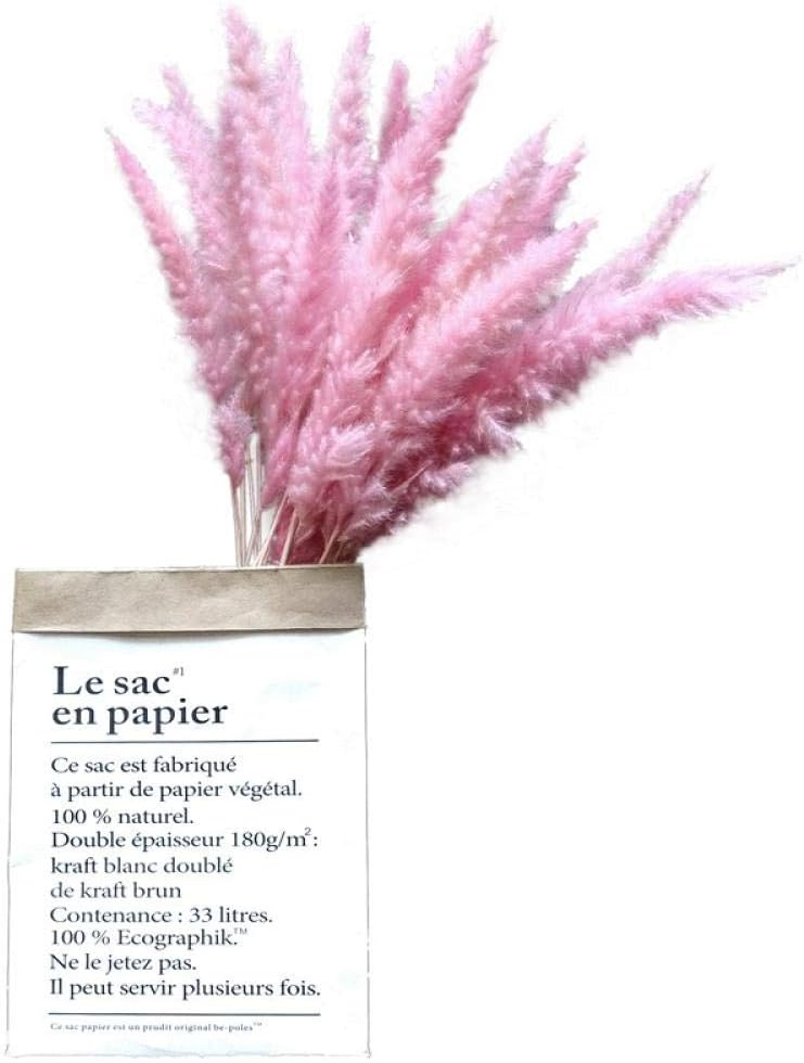 XINGXIAOYU Pampas Grass 30 Pink Bouquets Of Small Reed Grass, Dried Flower Decoration, Dried Flower Bouquet In Kraft Paper Bag, Large Spike With Vase@30 Pinks