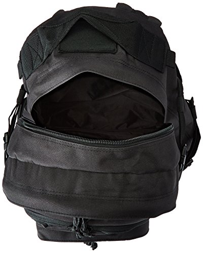 Sandpiper of California Three Day Pass Backpack - Image 4