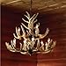 Twelve Light Deer Antler Chandelier Lighting, 36in. Chain