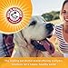 Arm & Hammer for Pets Clinical Care Dental Enzymatic Toothpaste for Dogs Soothes Inflamed Gums Safe for Puppies 1 Pack Fresh Breath Vanilla Ginger (Pack of 1)