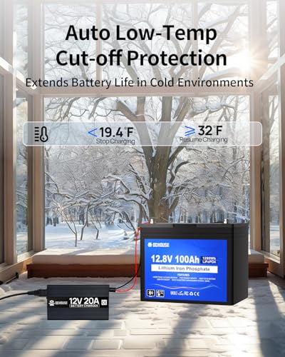 DC HOUSE 12V 200Ah (2 Packs 100AH) LiFePO4 Lithium Battery, Bluetooth & Low Temp Protection, Group 24, Up to 15000 Cycles, 100A BMS, Perfect for Camping, RV, Solar System, Off-Grid