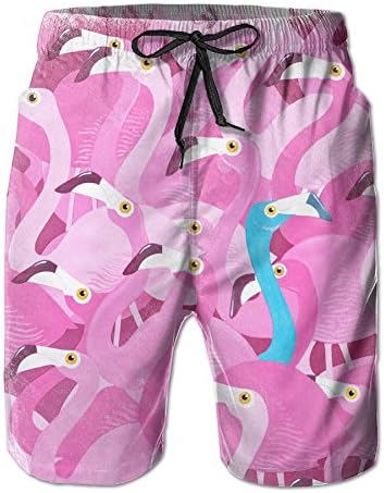 Be A Flamingo In A Flock Of Pigeons Men's Tropical Quick Dry Board Shorts Bathing Suits Swimwear Volley Beach Trunks