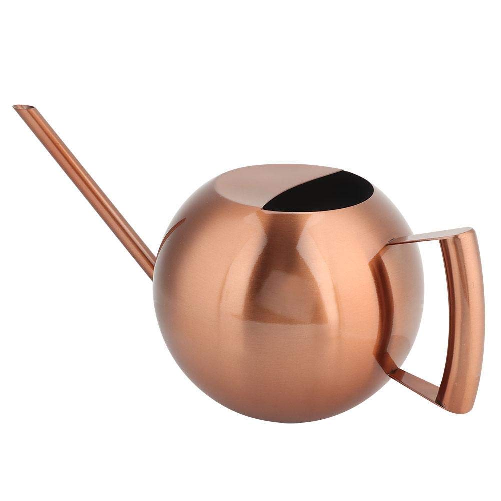 AUNMAS Watering Can, 1000ML Stainless Steel Watering Pot Sprinkle Pot Long Mouth Garden Flowers Plants Flower Tool(Bronze)