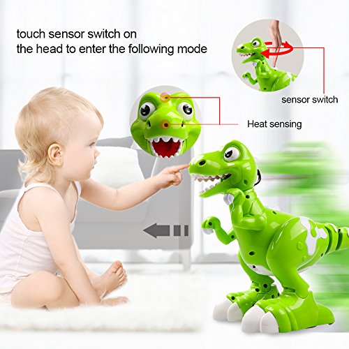DX DA XIN Interactive Robot Dinosaur , Dancing, Music ,Walking , Spraying Mist Out of his Mouth Remote Control Toys Robotic Tyrannosaurus Rex, Gift for Children