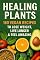 Livro Healing Plants: 160 Vegan Recipes to Lose Weight, Live Longer & Feel Amazing”.