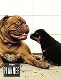 2018 Planner: Dog Design Weekly & Monthly Schedule Diary At A Glance | Get Things Done At School, College, Home, Work | Organizer Calendar | Quotes, ... Gifts (Personal Organization) (Volume 10) by
