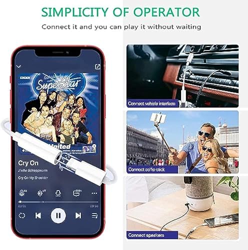 Apple MFi Certified] Lightning to mm Headphone Jack Adapter