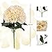 Hydrangea Silk Flowers Champagne 5 Heads SOLEDI Artificial Flower Arrangements Bunch Bridal Bouquet Wedding Bouquet for Home Garden Party Decoration Home Decor