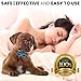 No Bark Dog Collar Safe and Humane Dog Training & Obedience | Warning Sounds & Vibration | 7 Sensitivity Levels, Auto Shut Off | Small, Medium, Large Breedsthumb 1