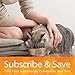 Wellness TruFood Baked Blends Natural Grain Free Dry Cat Food, Kitten Chicken, Lentils and Chicken Liver Recipe, 2-Pound Bag