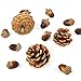 Ageomet 160pcs Artificial Acorns and Pinecones Set Hanging Ornaments for Christmas Décor