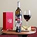 Edgy Wine Aerator Decanter Set with Stunning Red Gift Box, Cork Filter, Travel Pouch and No Drip Stand