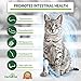 HerbalVet 10 Tablets Cat Intestinal Cleanse | Cat Dewormer Alternative | Cleansing Tablets for Cats, Promotes Intestinal Health | Helpful E-Book Included, 1 Bottle of Ten