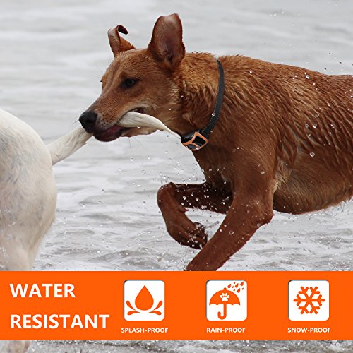 mospro dog training collar