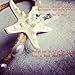 ZWZCYZ Fashion original SuBo Bohemia wind beautiful Girl's Sea Shell hemp Hair Head Band Beach Christmas Halloween Cosplay Mermaid look