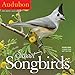Audubon Sweet Songbirds Mini Wall Calendar 2019 by