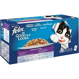 Jarrones decorativos | Amazon.es