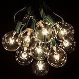 Hometown Evolution, Inc. 25 Foot G50 Patio Globe String Lights with 2 Inch Clear Bulbs for Outdoor String Lighting (Green Wire)