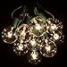 Hometown Evolution, Inc. 25 Foot G50 Patio Globe String Lights with 2 Inch Clear Bulbs for Outdoor String Lighting (Green Wire)