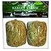 Summit 125 Clear-Water Barley Straw Bales, 2-Pack Treats up to 1000-Gallon primary
