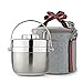Fatmingo Stainless Steel Thermal Food Container,Insulated Lunch Box 2 Tier with Hand Bag (1.5L Silver)