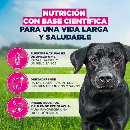 , alimento seco para Perros con Pollo Fresco para Razas Grandes - Alimento seco Premium para Perros Adultos, 15 kg