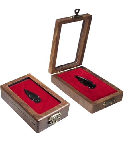 SAFE Vitrine en bois XXL avec panneau en velours adaptée pour épingles, médailles et boutons - Europost Philatélie & Numismatique