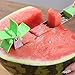 10 Pack,Watermelon Slicer Stainless Steel,Melon Baller Scoop Set For Melon Cutter And Cantaloupe Scooper Fruit Service Tool