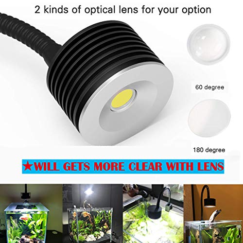 LED Aquarium Lighting Nano Fish Tank Light for Saltwater Freshwater Planted Tank Coral Reef (Freshwater Asta 20)