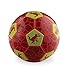 Crocodile Creek Dinosaurs Kids Soccer Ball Size 2