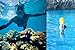 Snorkel Set : Full Face Snorkeling Mask + Adjustable Diving Fins (Blue, S/M)