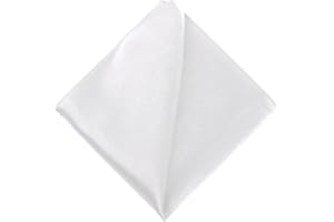 DAISYSILK Satin Pocket Square for Men, Soft Men’s Handkerchief Pocket Square, Christmas Father's Day Gifts