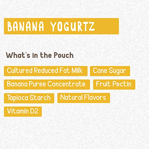 3 GoGo+YogurtZ+Portable+BPA+Free+Gluten+Free