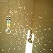 Newmerry Crystal Suncatcher 30mm Crystal Prism Ball and Icicle Pendant Chakra Crystal Hanging Light Suncatcher for Window Car Rear View,Pack of 2